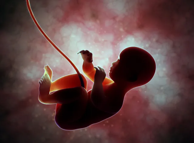 Dziecko w łonie matki odczuwa smak pokarmów. Które lubi najbardziej?