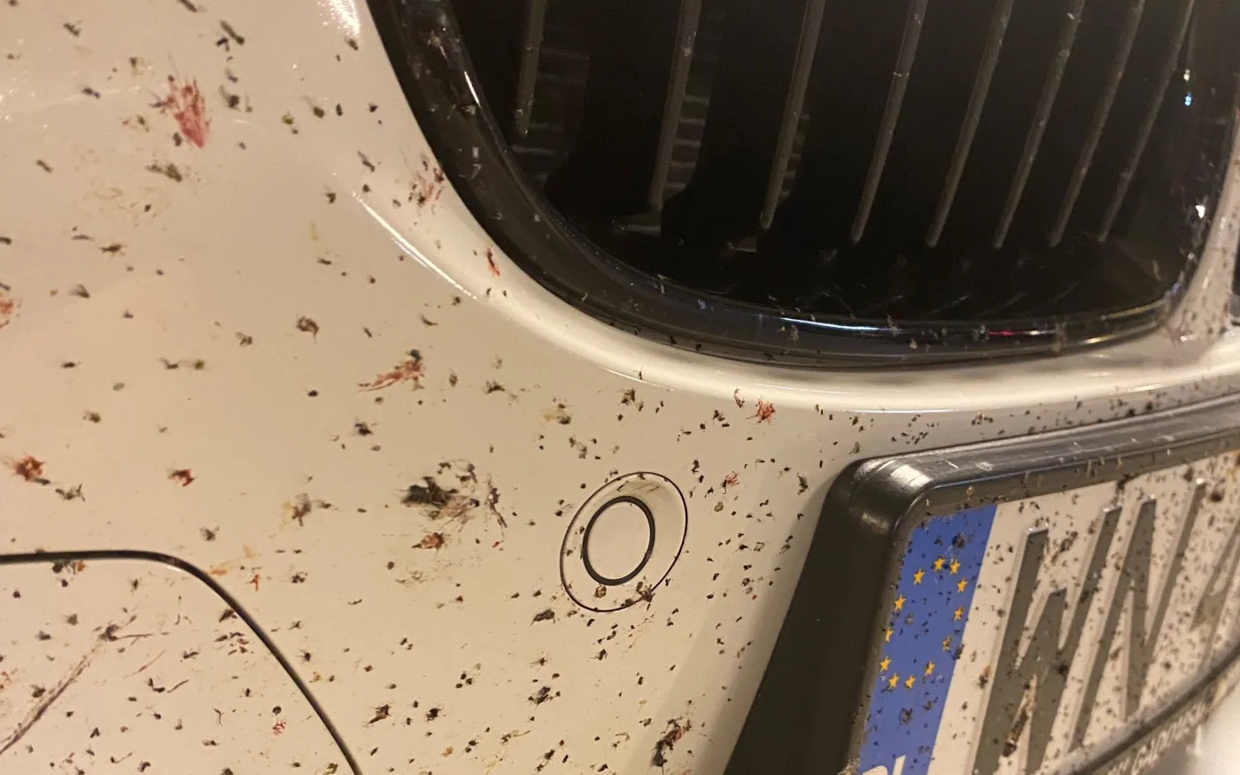 Jak usunąć owady z karoserii? Oto skuteczne sposoby, a tego unikaj