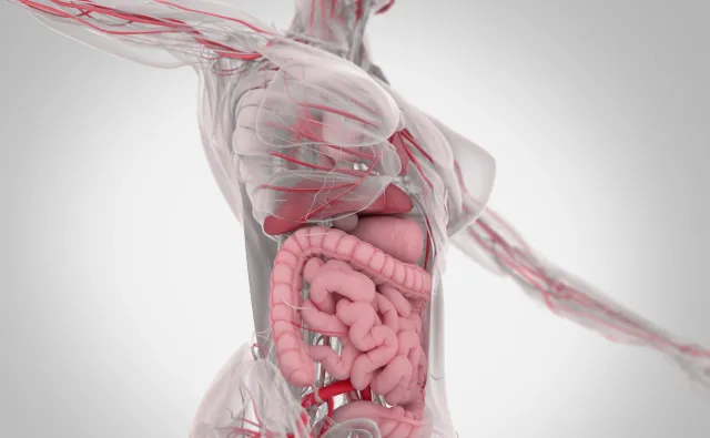 Zaczyna się zwykle podstępnie. Czy są nieswoiste choroby zapalne jelit?