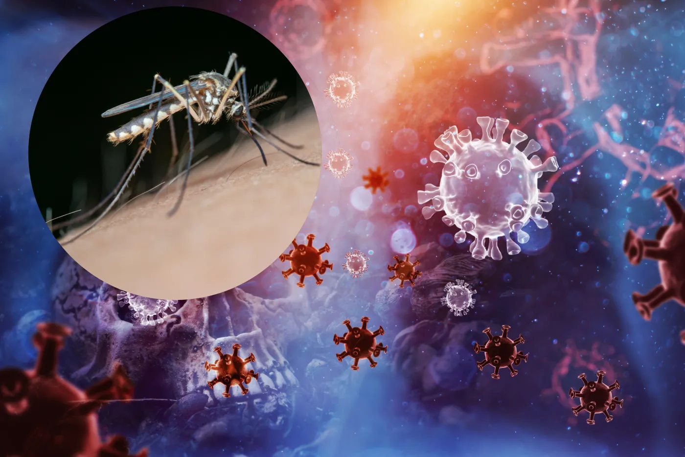 Tropikalny wirus w połączeniu z infekcją koronawirusem może przynieść fatalne skutki