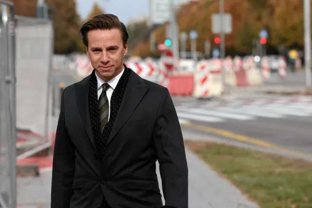 Witek "kandydatką niewybieralną"? Bosak: O to chodziło
