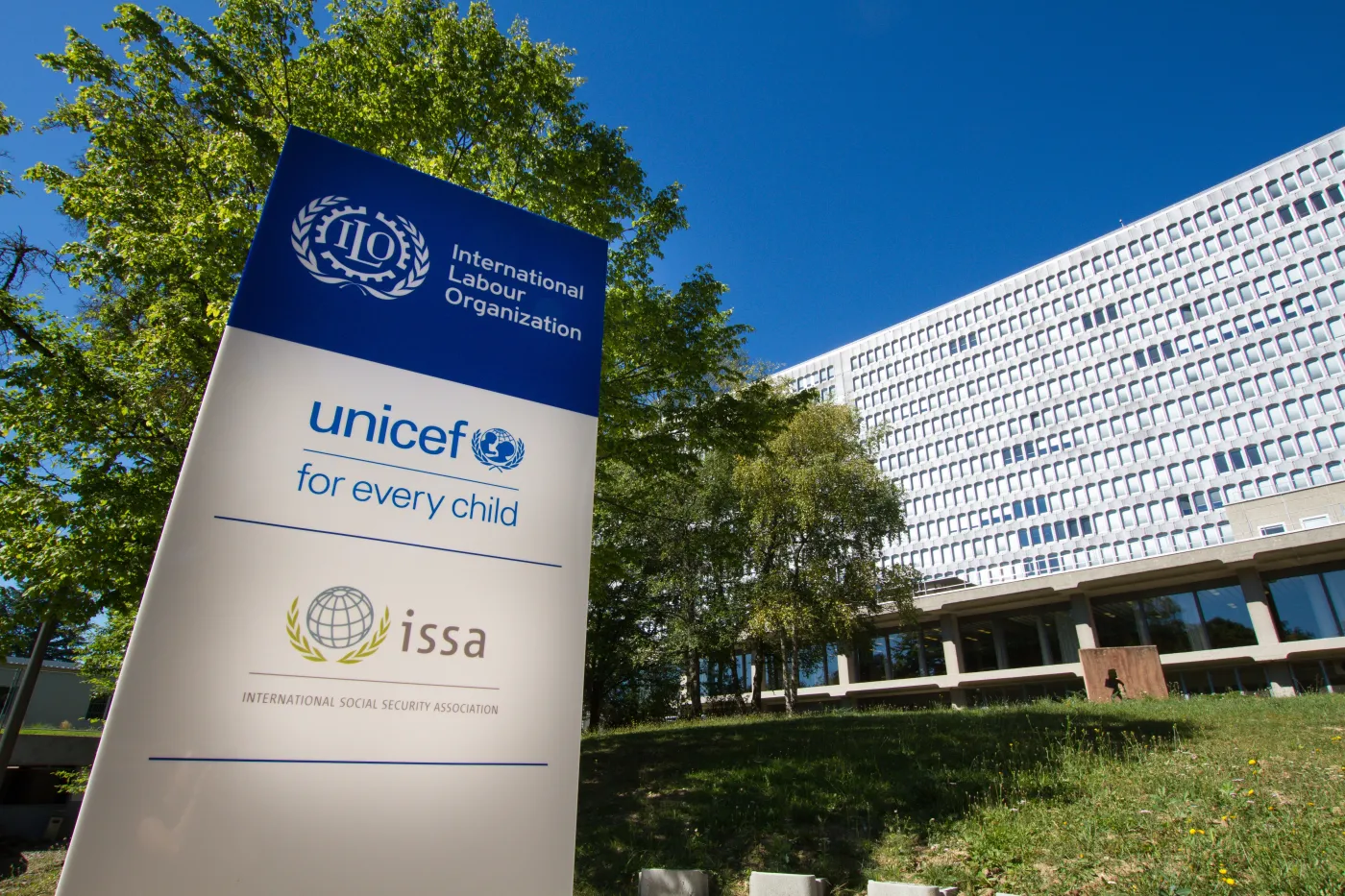 International Labour Organization