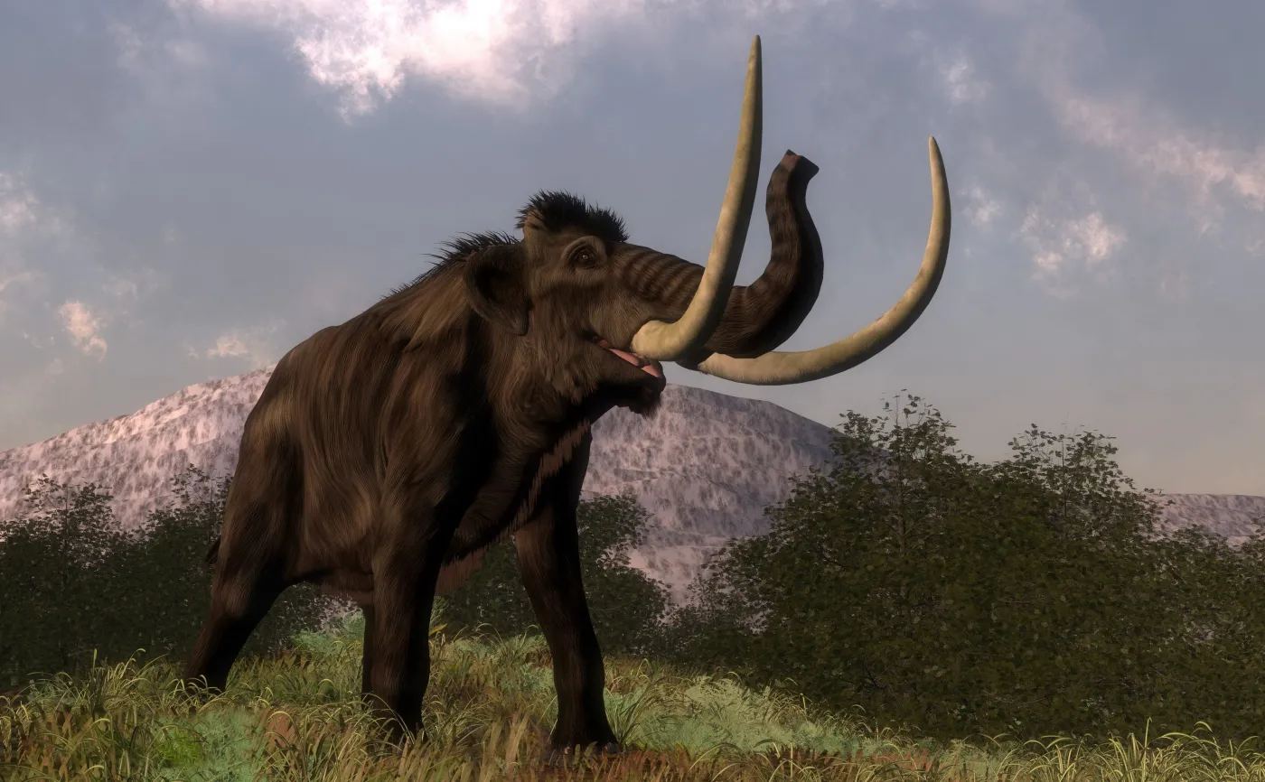 Sensacyjne odkrycie w Polsce. Już wszystko jasne