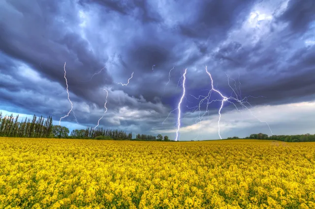 IMGW ostrzega: Silny wiatr i burze. Później spore ochłodzenie