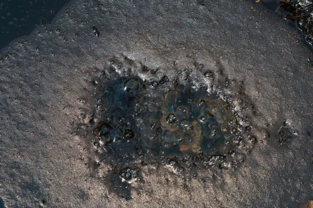 Duże złoża ropy na zachodzie Polski. Orlen informuje o "jednym z największych odkryć"