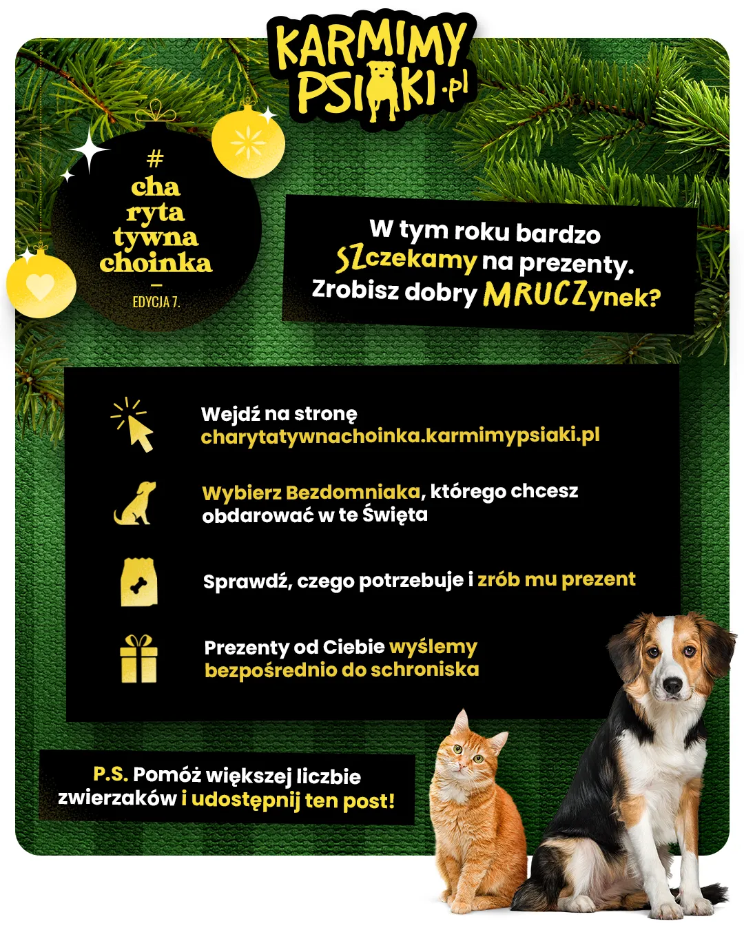 Akcja charytatywna "Karmimy psiaki"