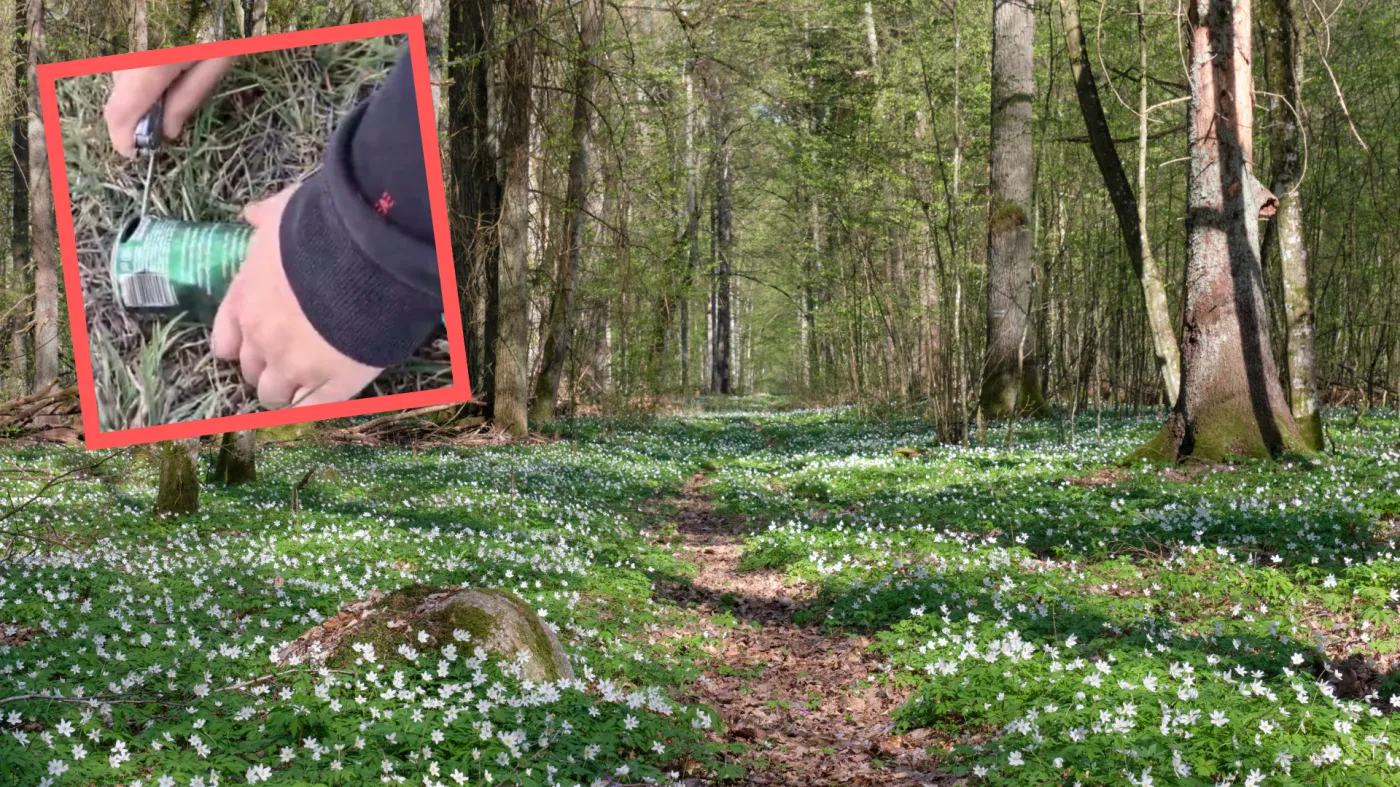 Leśnicy pokazali makabryczne odkrycie w lesie. "Przerażający filmik"