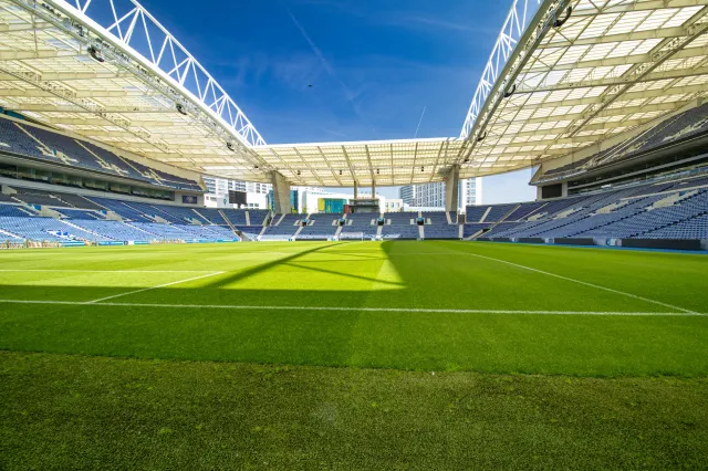 Sensacyjny transfer polskiego bramkarza. Trafił do FC Porto