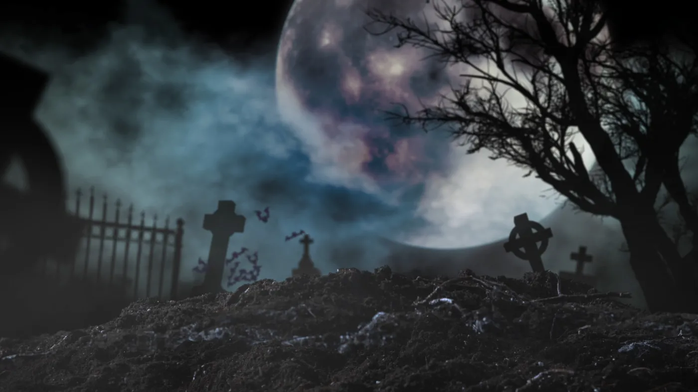  Bestsellery na listopadowe wieczory 