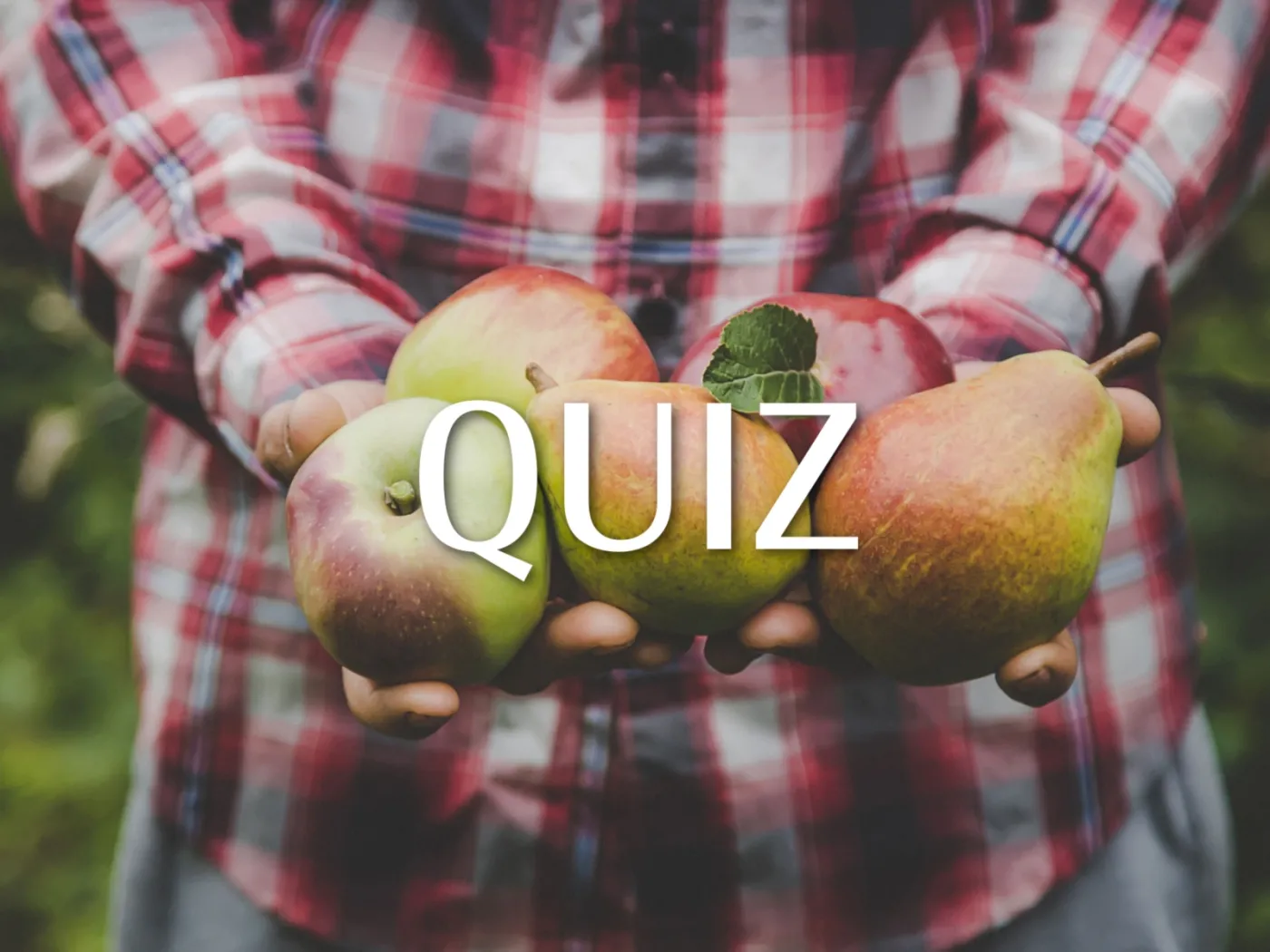 QUIZ To jabłko czy gruszka? Rozpoznasz po odmianie? 12/12 tylko dla smakoszy
