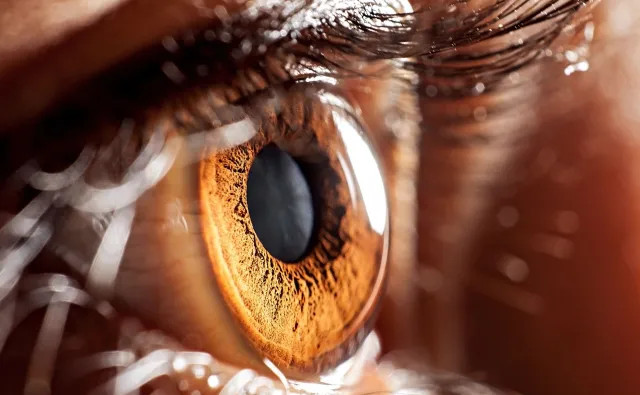 Martwi Czesi uratują oczy Polaków. To rozwiązanie skróci kolejki do przeszczepów