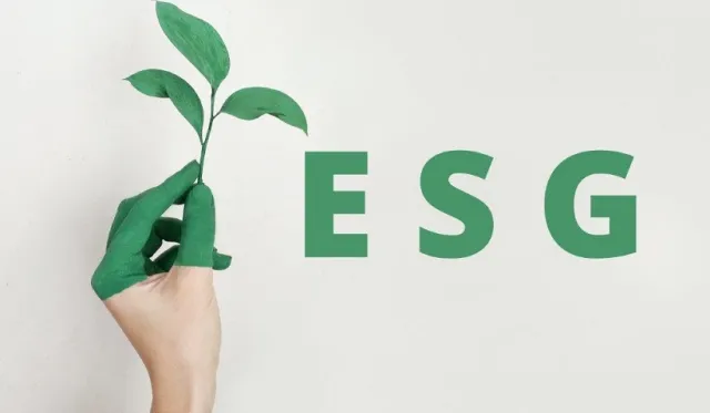 Z ESG łatwiej o kapitał, zadowolenie pracowników i klientów