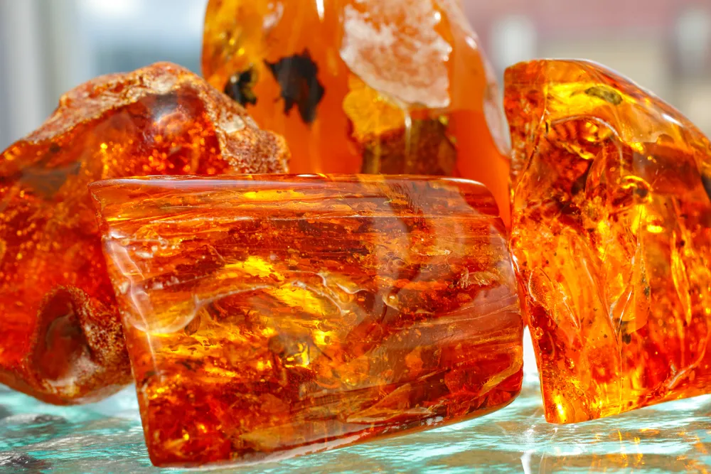 Mierzeja Wiślana: Bursztynowe żniwa możliwe tylko na bałtyckich plażach i płytkim pobrzeżu