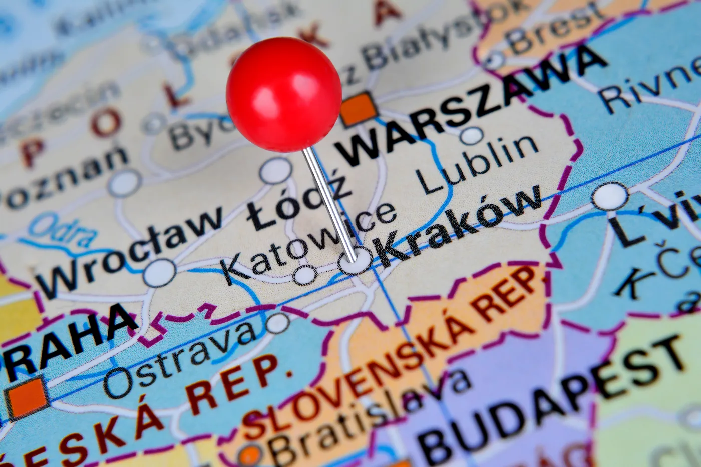 Śnięte ryby na terenie Bielańsko-Tynieckiego Parku Krajobrazowego
