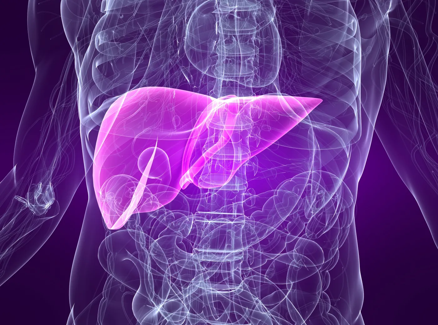 Nowy lek daje nadzieję na regenerację wątroby. Nadzieja dla chorych na raka?