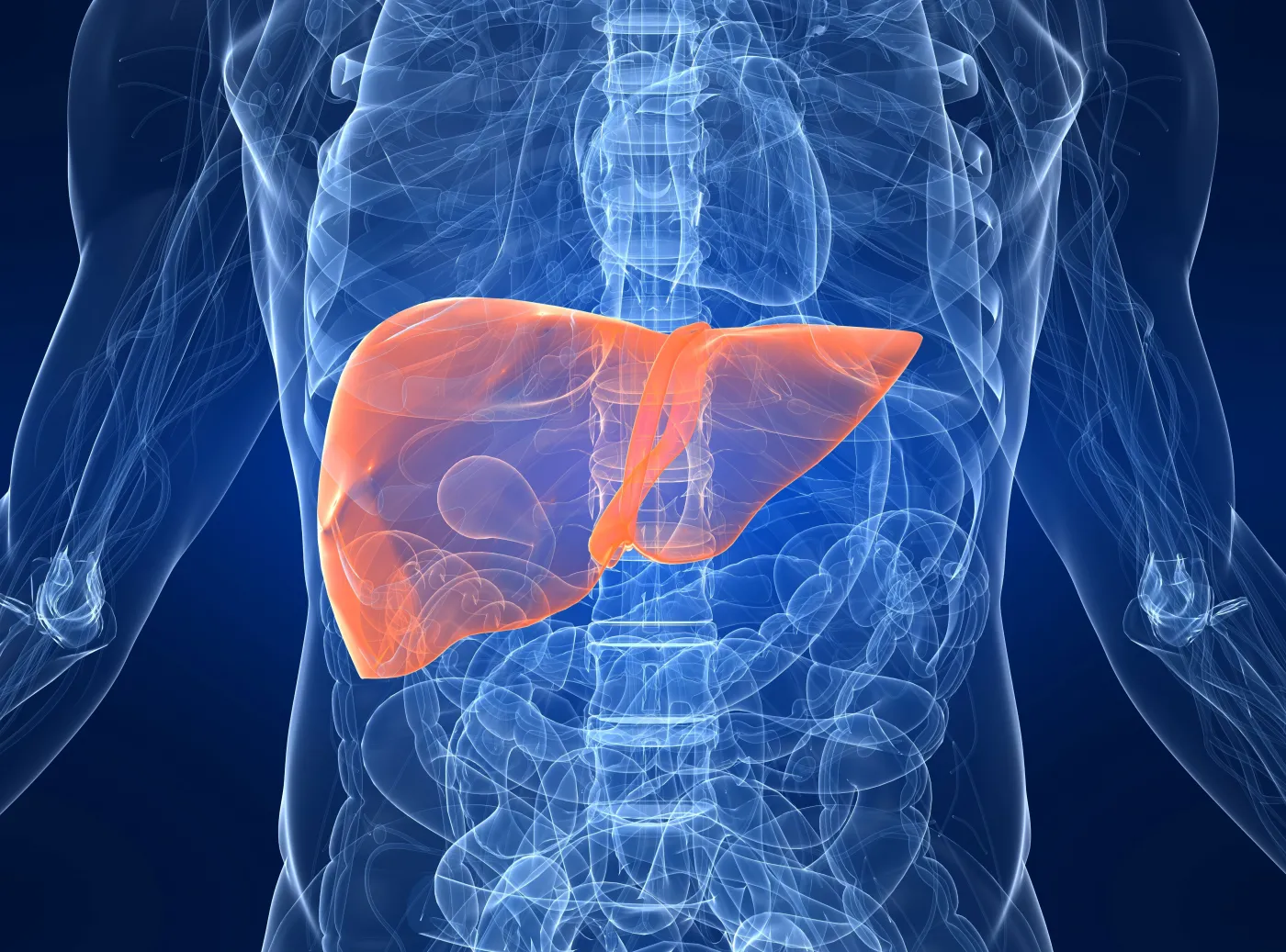 Stłuszczenie, marskość, a nawet rak. Tak na wątrobę działają fastfoody [BADANIE]