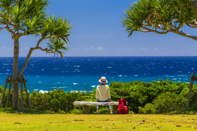 "Niebieskie strefy" na świecie. Mieszkańcy tych miejsc żyją nawet 100 lat