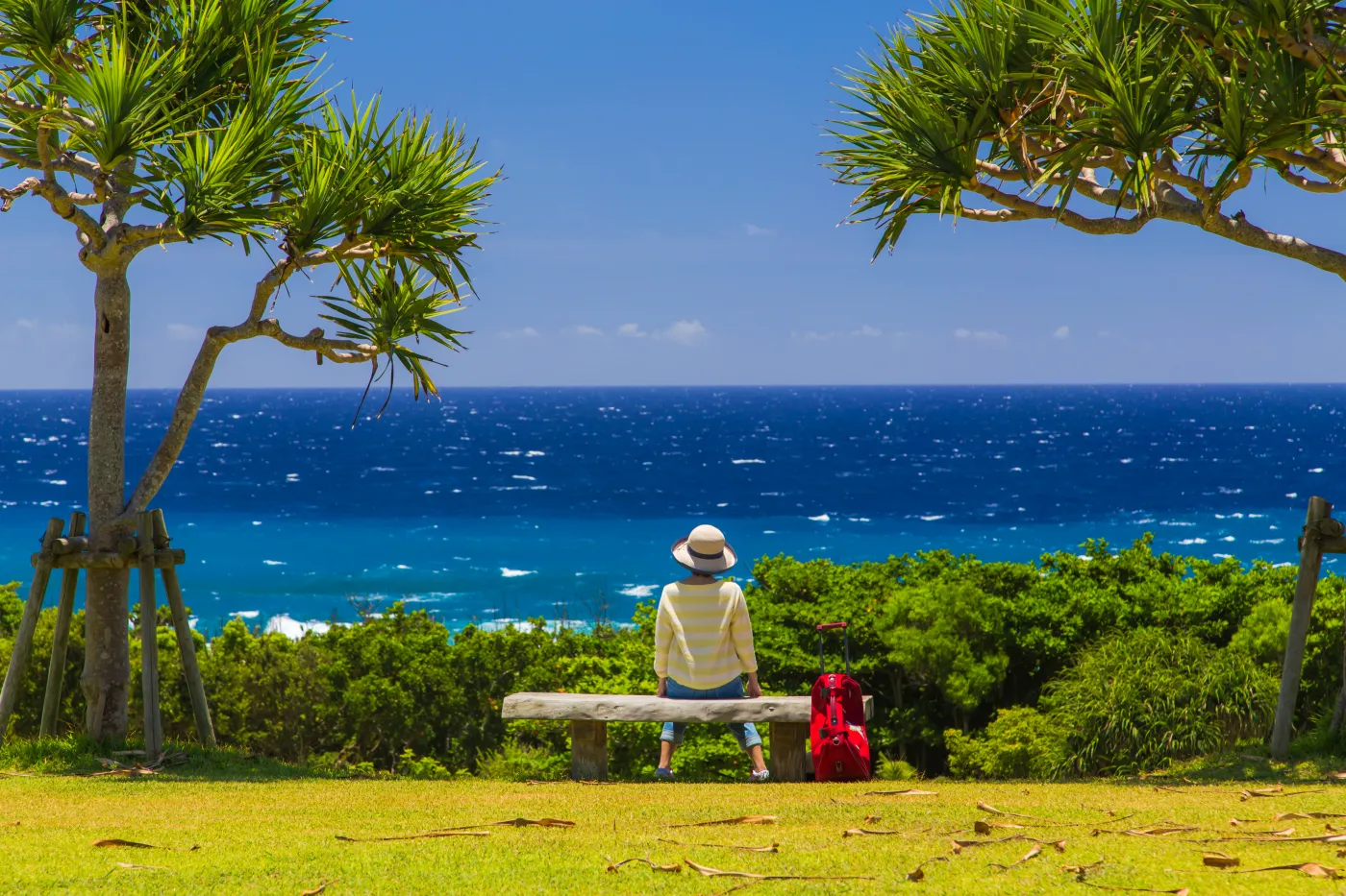 "Niebieskie strefy" na świecie. Mieszkańcy tych miejsc żyją nawet 100 lat