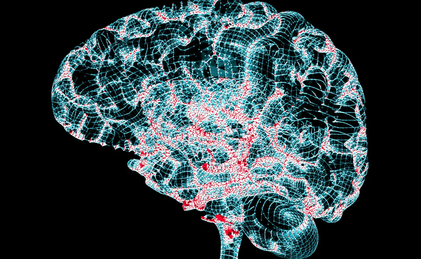 Uszkodzenie mózgu, alzheimer, parkinson