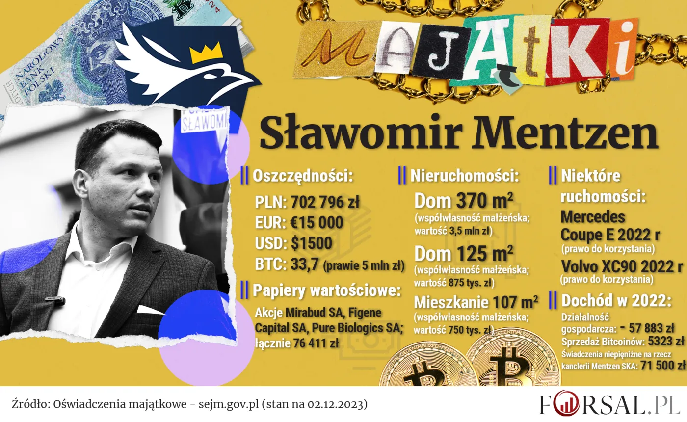 Oświadczenie majątkowe - Sławomir Mentzen