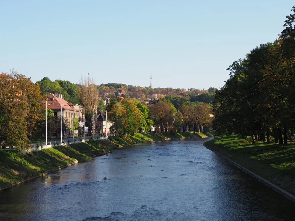 Wybory samorządowe 2024. Kto wygrał w Cieszynie? [DANE PKW]