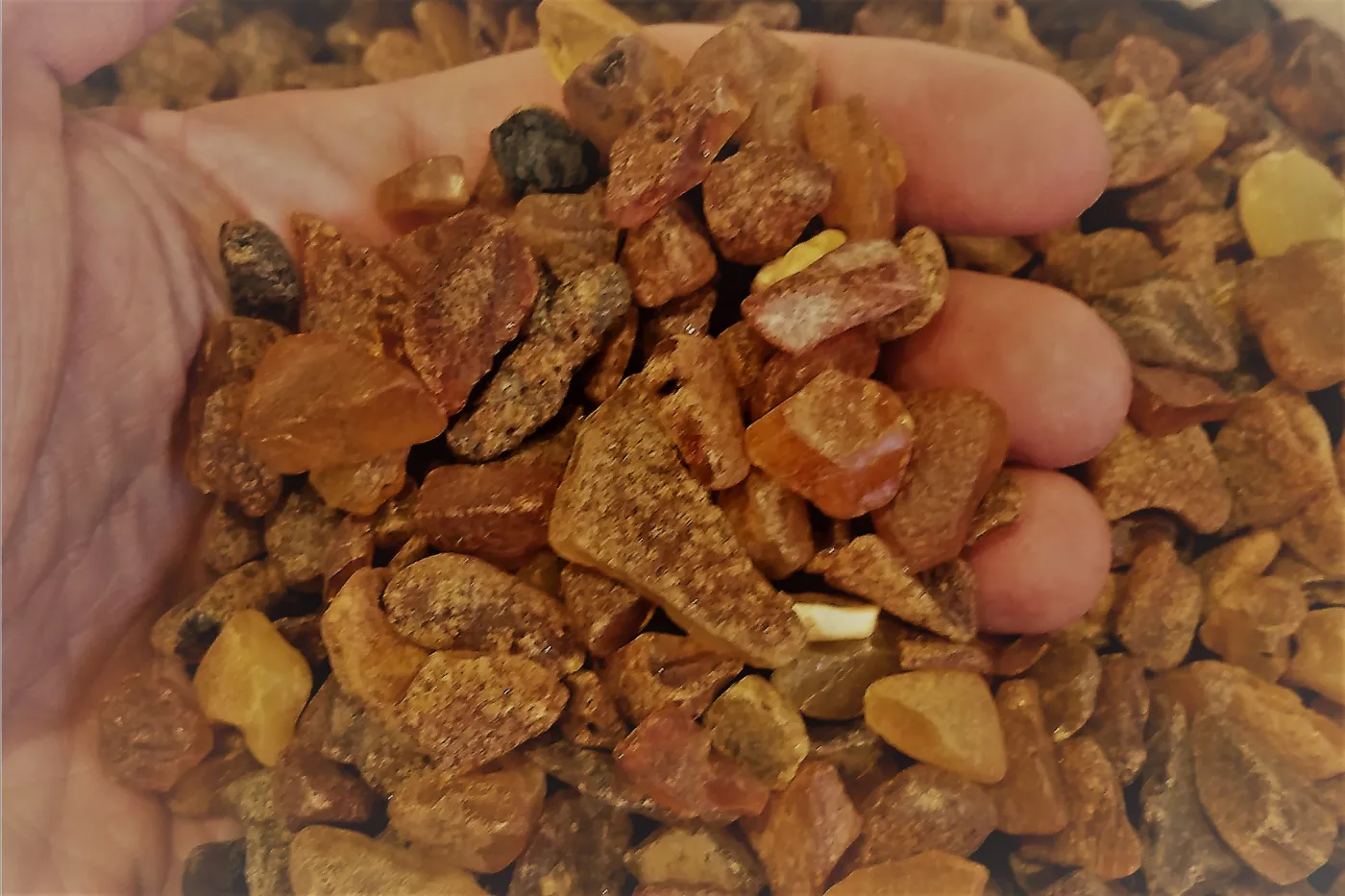 Chińczycy nie boją się Rosji. Kładą łapę na ukraińskim skarbie