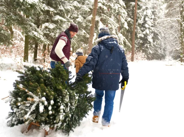 Czy Sylwester, Wigilia i Nowy Rok to dni wolne od pracy?