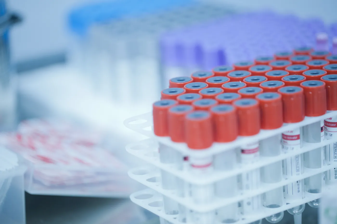 Badania krwi pracownika – kiedy są obowiązkowe i od czego zależy ich zakres