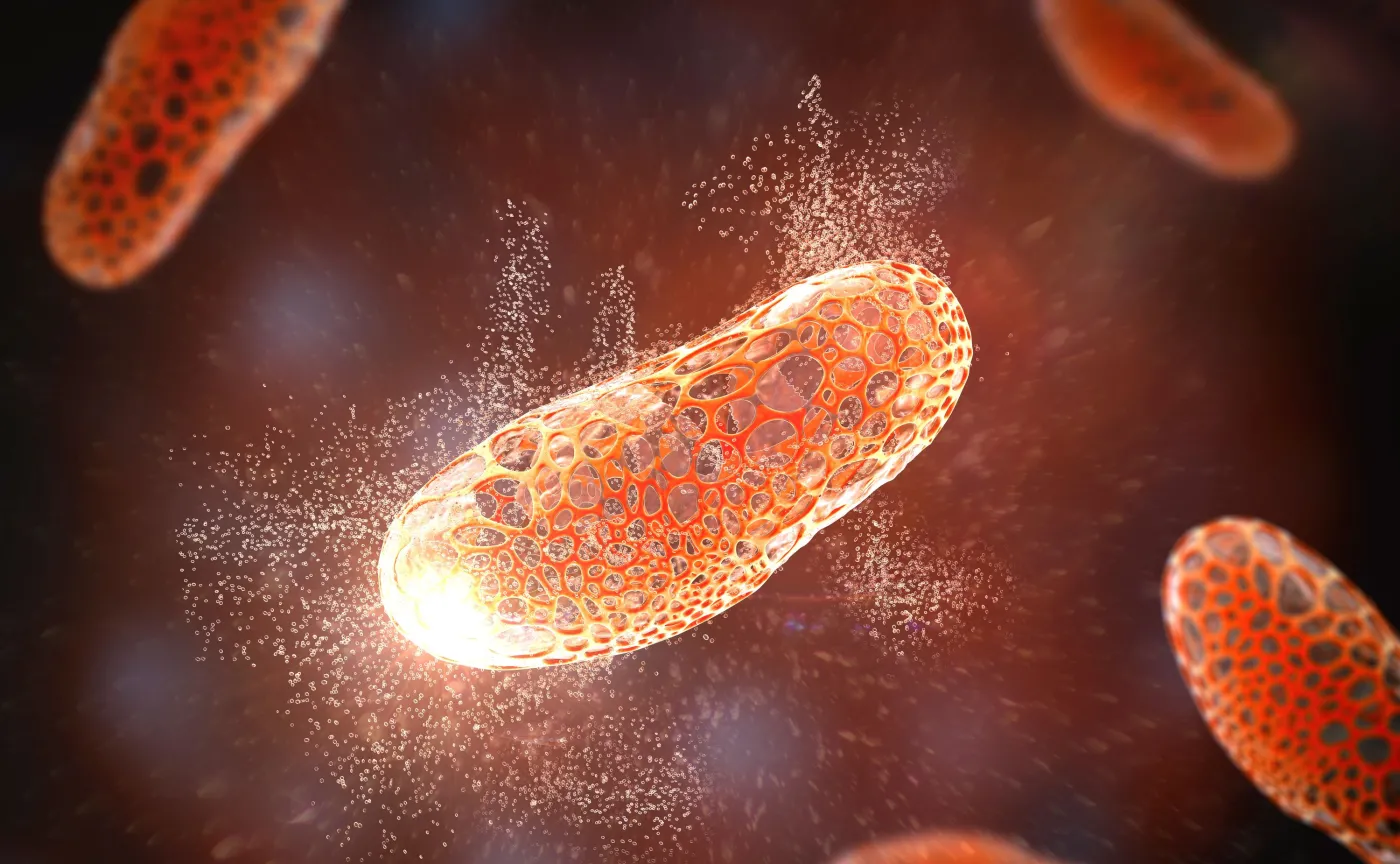 Groźne bakterie, które mogą zabić w kilkanaście godzin. Epidemiolog ostrzega