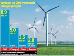 Wydatki na OZE w grupach energotycznych