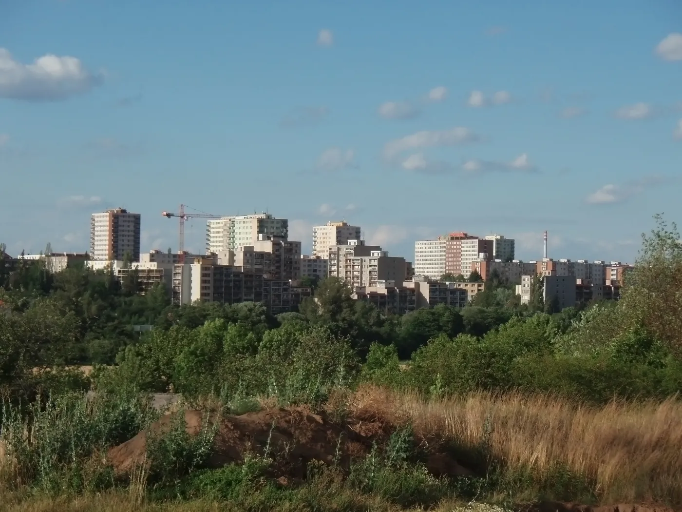 Osiedla na pustyni - miasta nie nadążają za inwestycjami w infrastrukturę i usługi