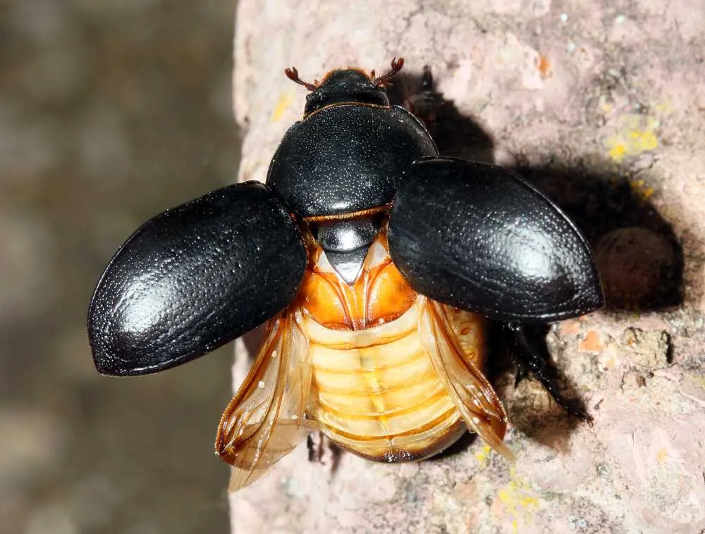 Co można robić, gdy ma się za dużo pieniędzy