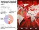 Inwestycje zagraniczne: kapitał wędruje do krajów rozwijających się 