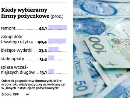 W firmach pożyczkowych zadłuża się 12 proc. gospodarstw