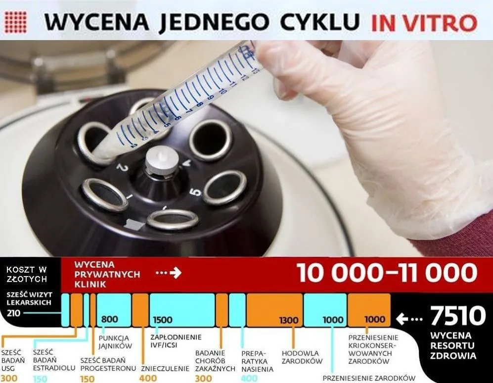 Refundacja in vitro: resort bada ceny na rynku