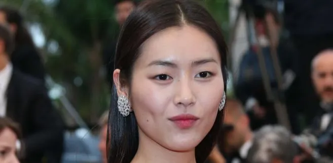 1451672-liu-wen.jpg