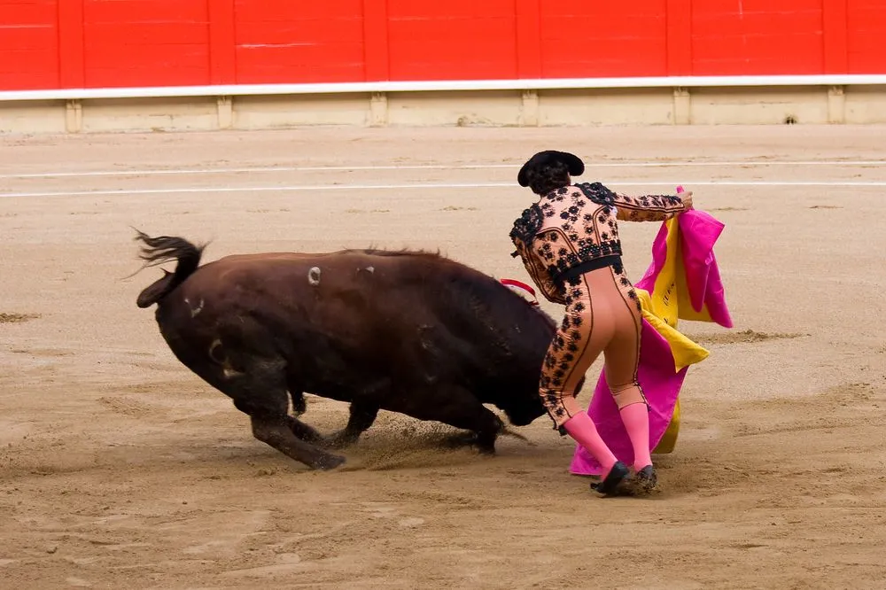 Rząd Hiszpanii wsparł promocję korridy. Obrońcy praw zwierząt protestują