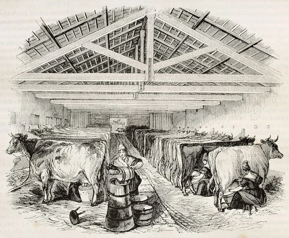 Postpańszczyzna ma się dobrze. Na rynku pracy byliśmy albo panem, albo chłopem [TOP 2018]