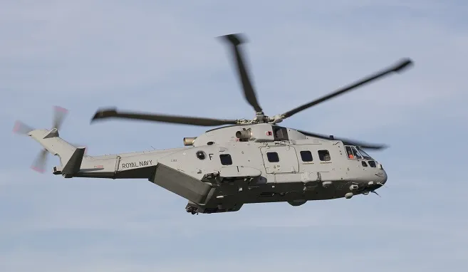 3757938-merlin-2.jpg