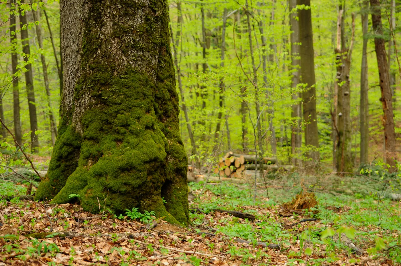 53-projektowany-turnicki-7-maja-2021-r-(23)-37134363.jpg