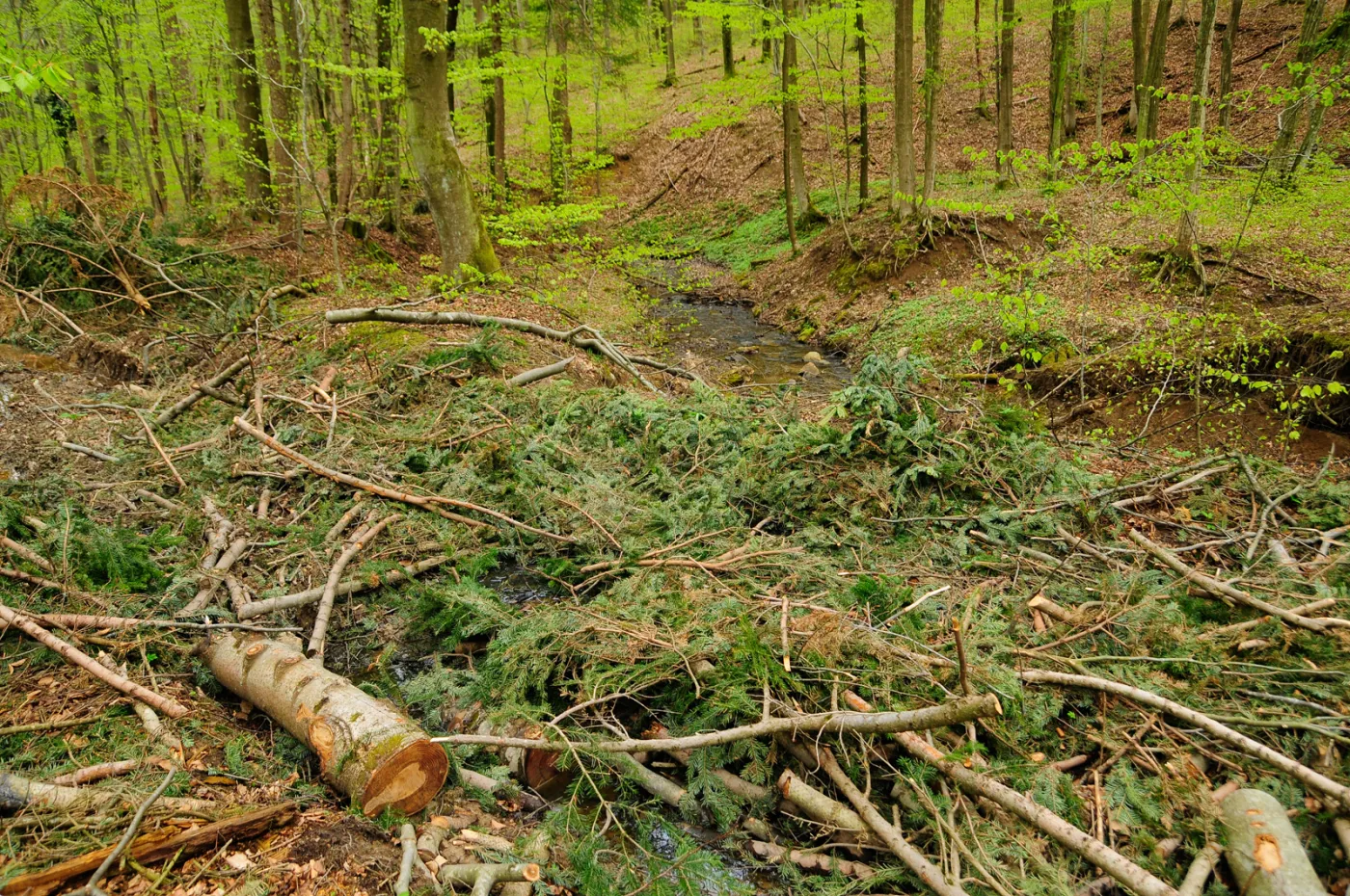 53-projektowany-turnicki-7-maja-2021-r-(34)-37134493.jpg