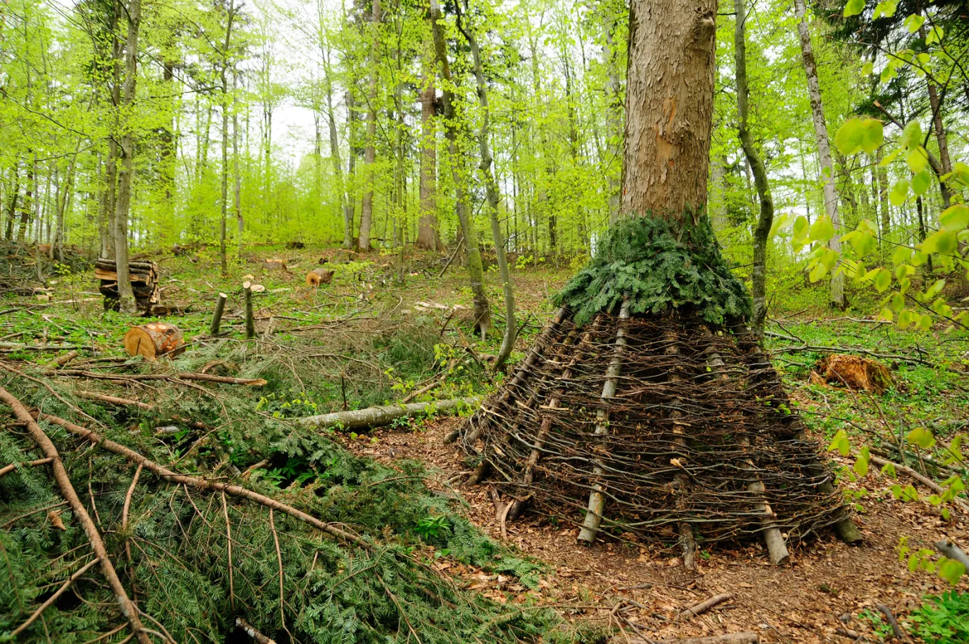 53-projektowany-turnicki-7-maja-2021-r-(46)-37134518.jpg