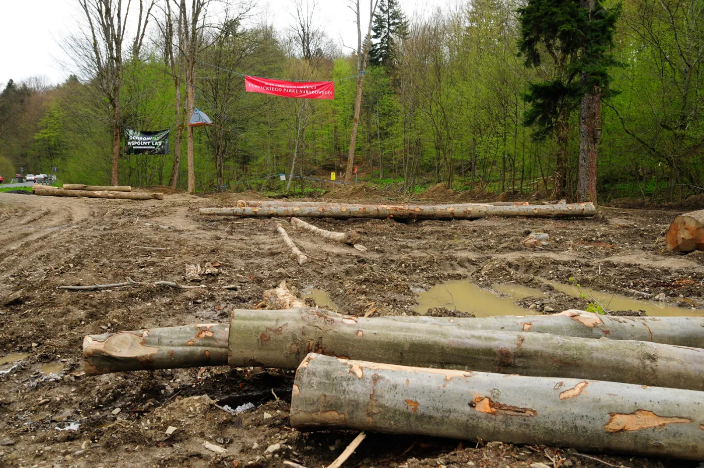 53-projektowany-turnicki-7-maja-2021-r-(47)-37134348.jpg