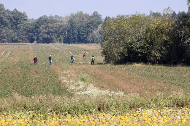 Atak dronów wpisuje się w plan manewrów Zapad