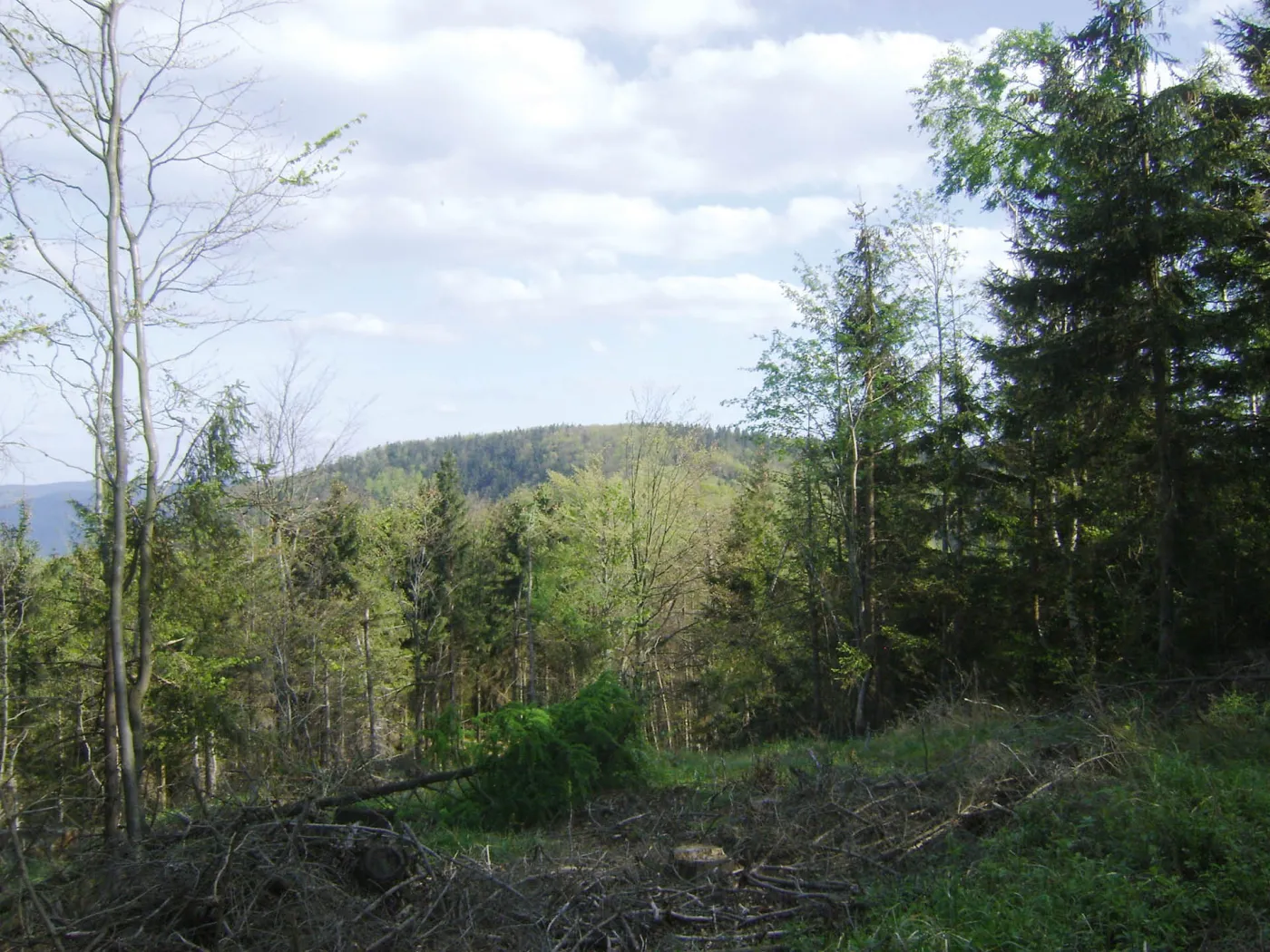 Zdobywamy Koronę Gór Polski