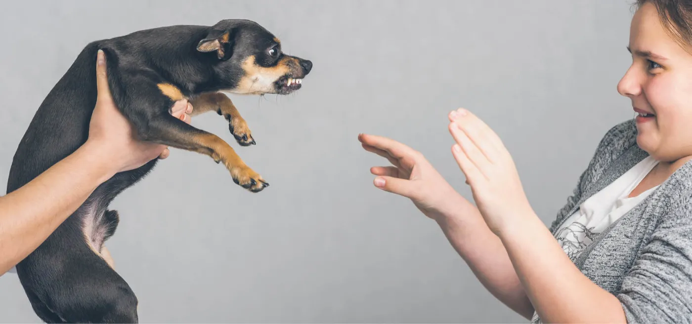 Kiedy robi się niebezpiecznie?