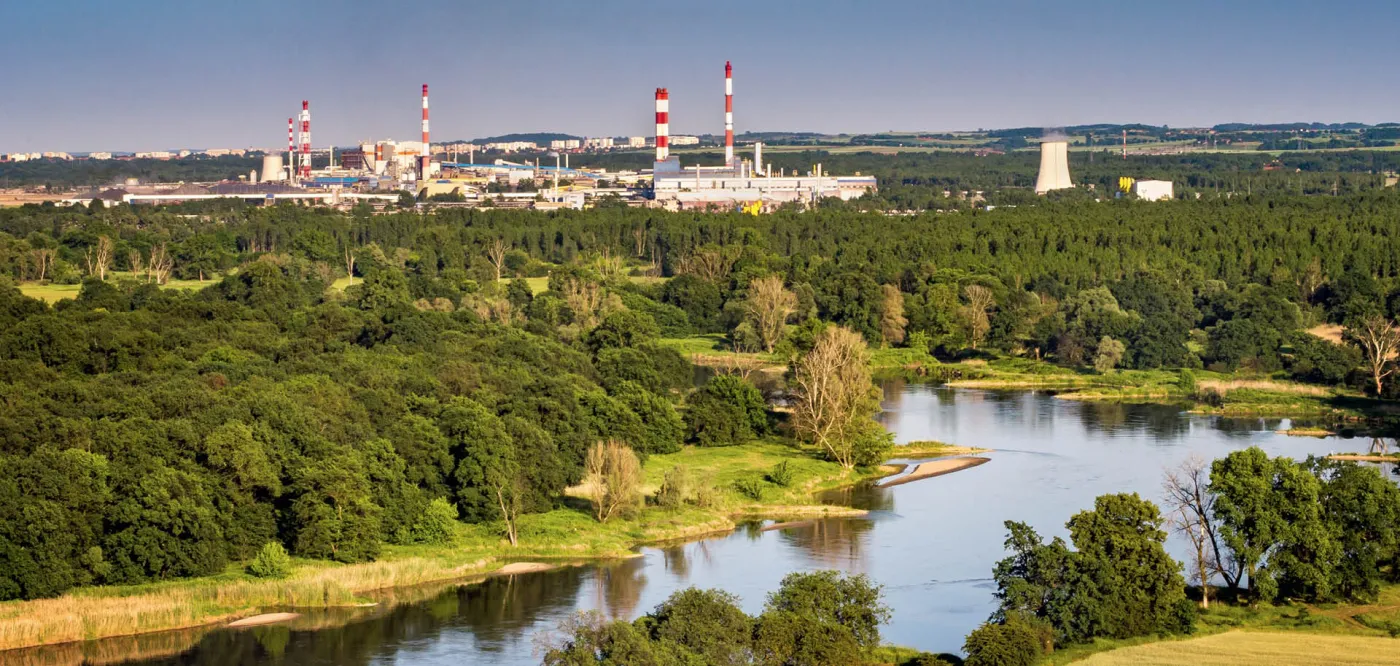 Biznes, serce, rozum…