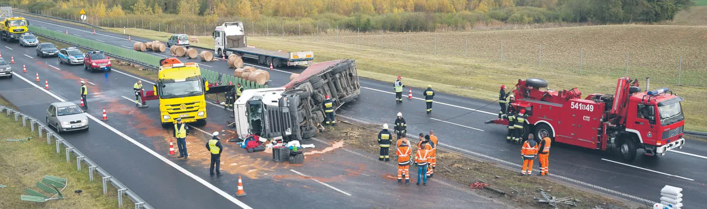 Nikt nie widzi misia za pierwszym razem