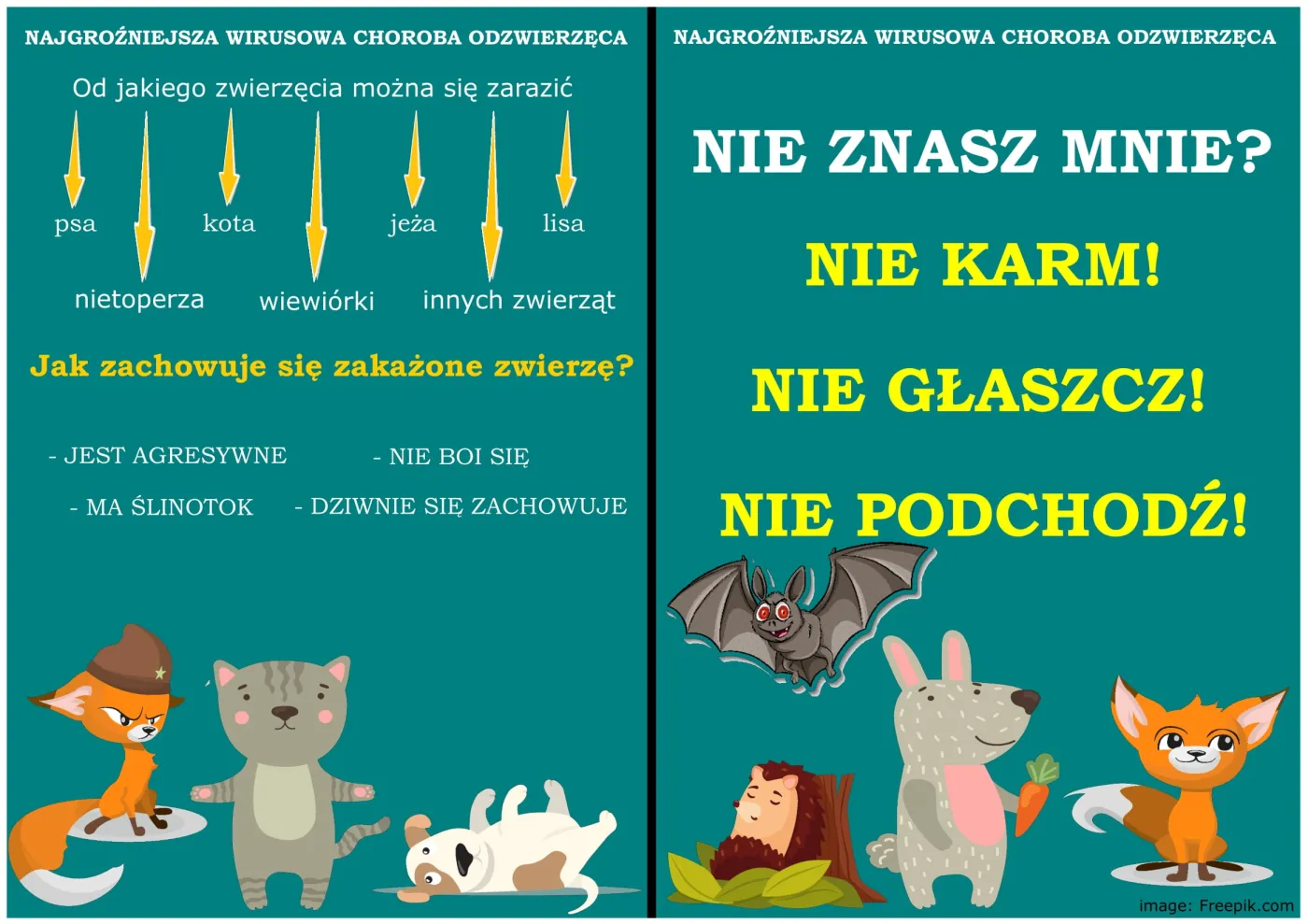 Wścieklizna - ulotka