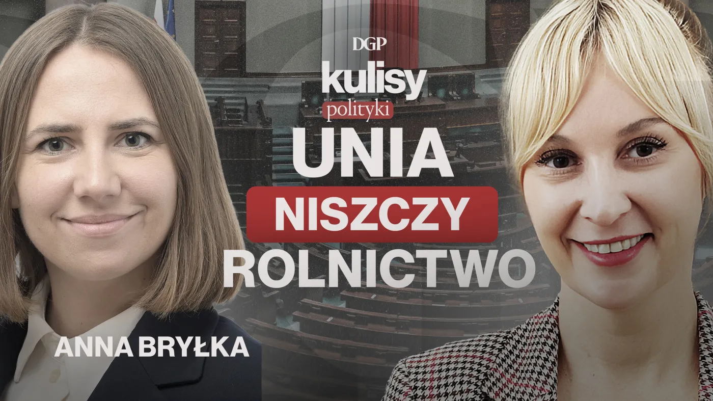 Bryłka: UE przeciw rolnikom. Merkosur to zdrada wsi [KULISY POLITYKI]